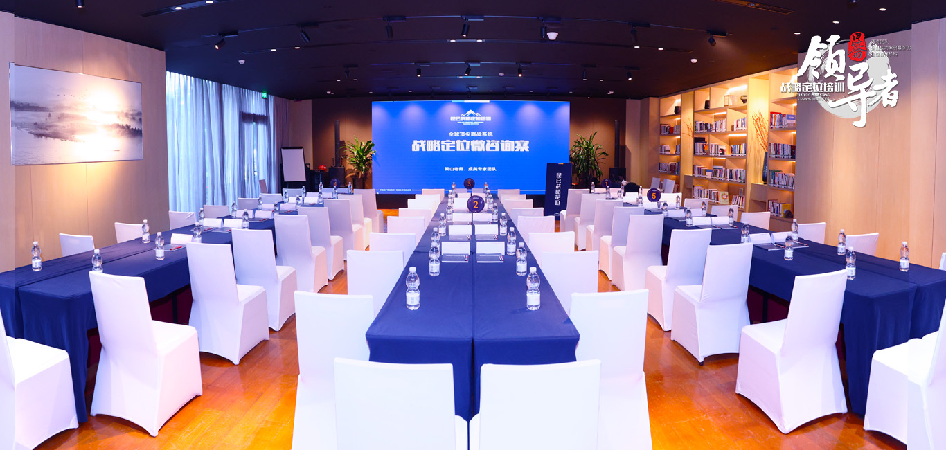 战略定位微咨询案